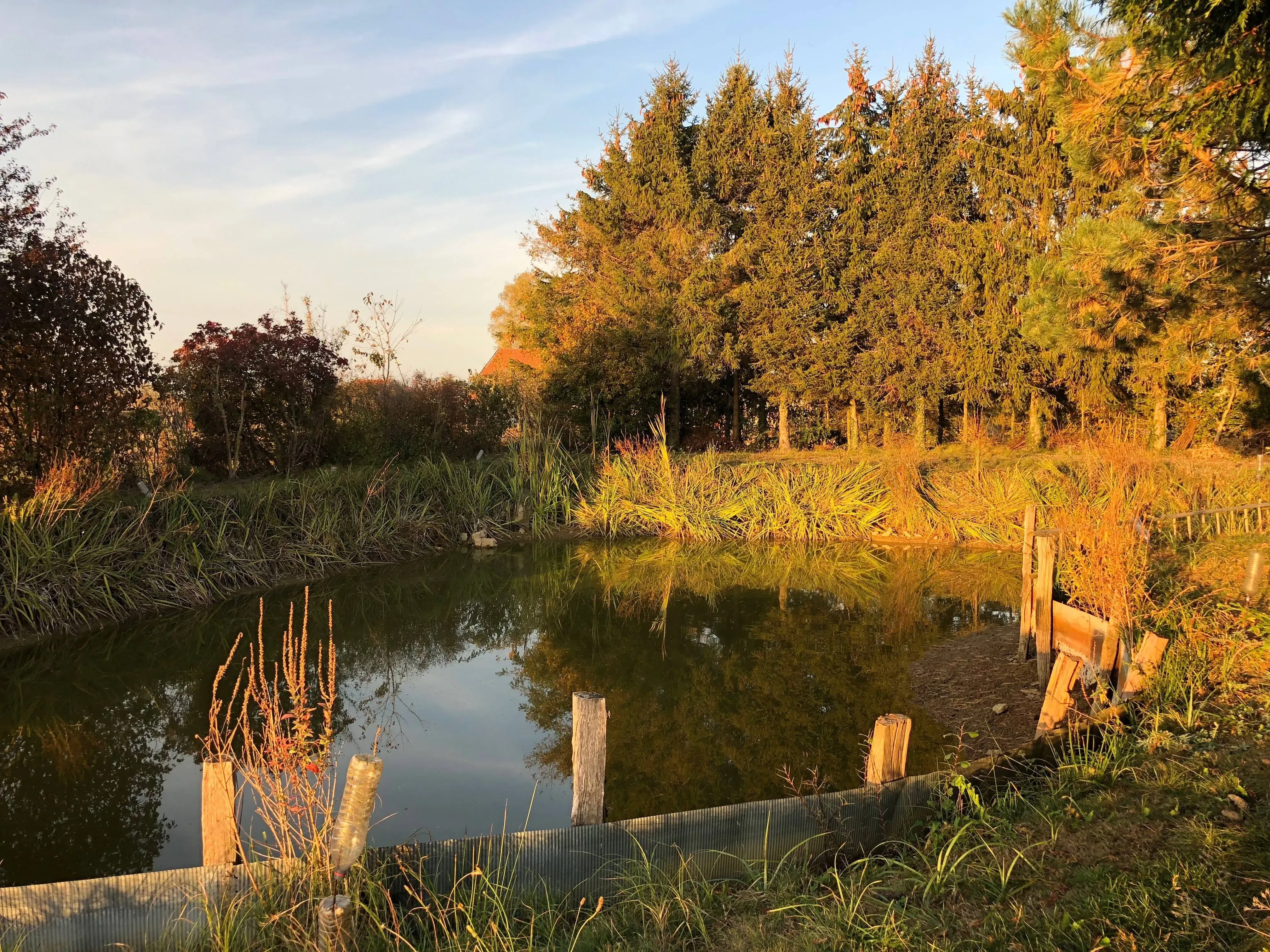 Maison de 100 m² à Ouge (70500)