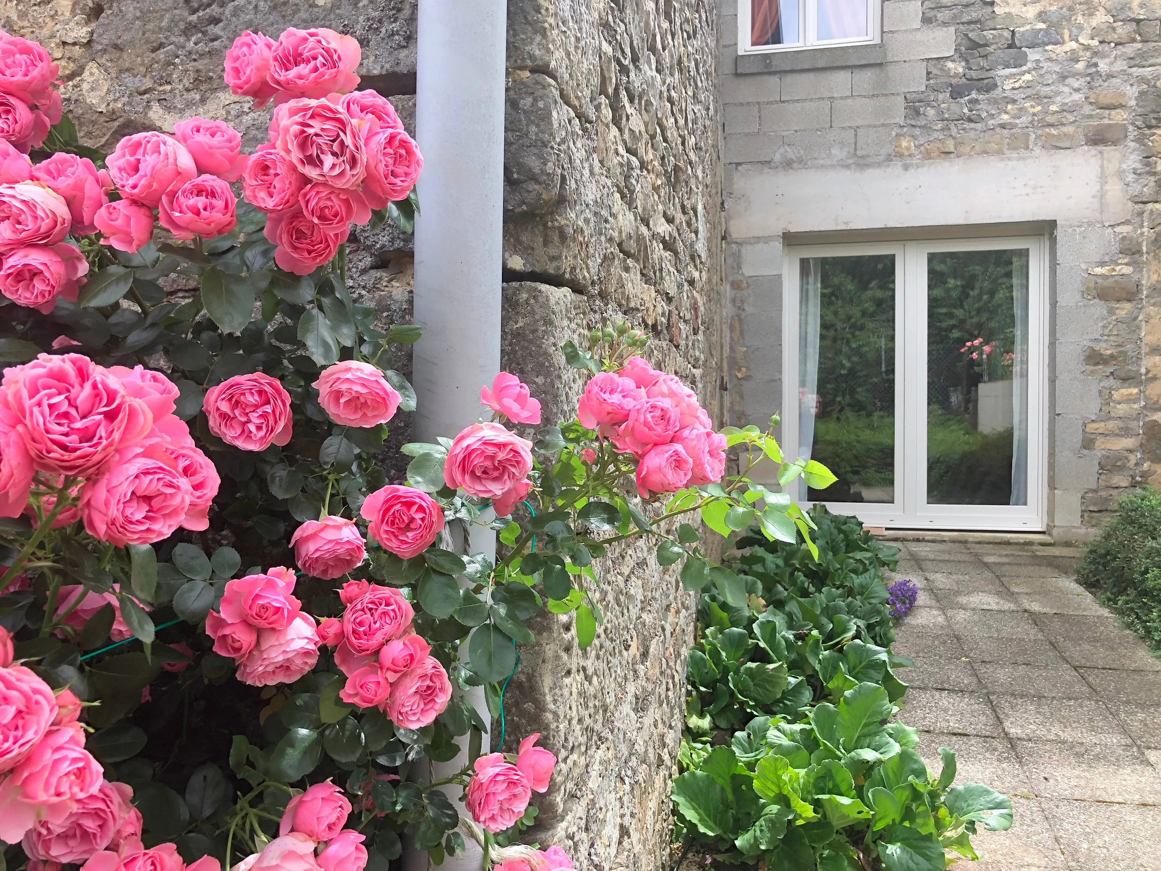 Maison de 150 m² à Maizières Sur Amance (52500)