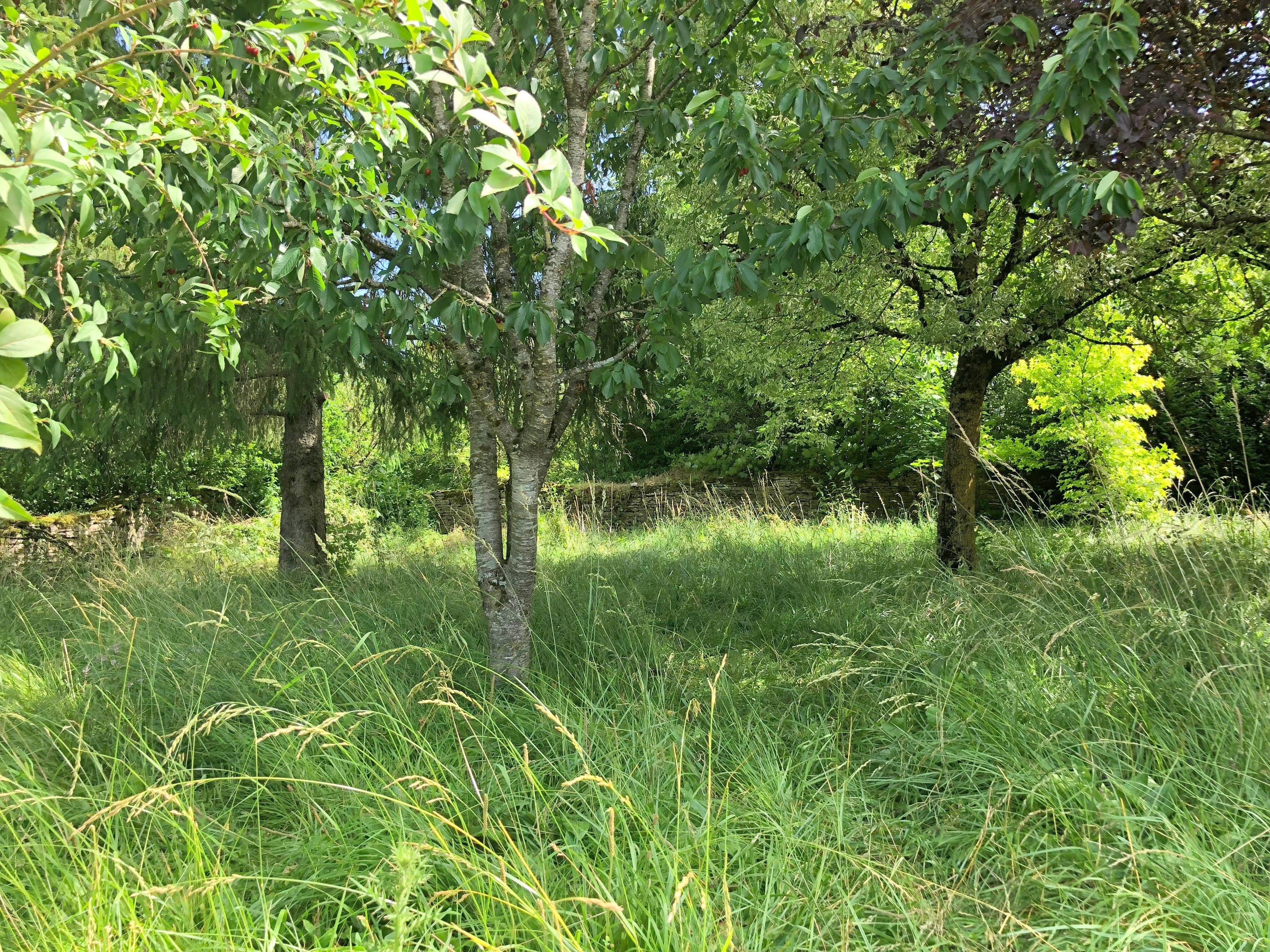 Maison de 198 m² à Cusey (52190)