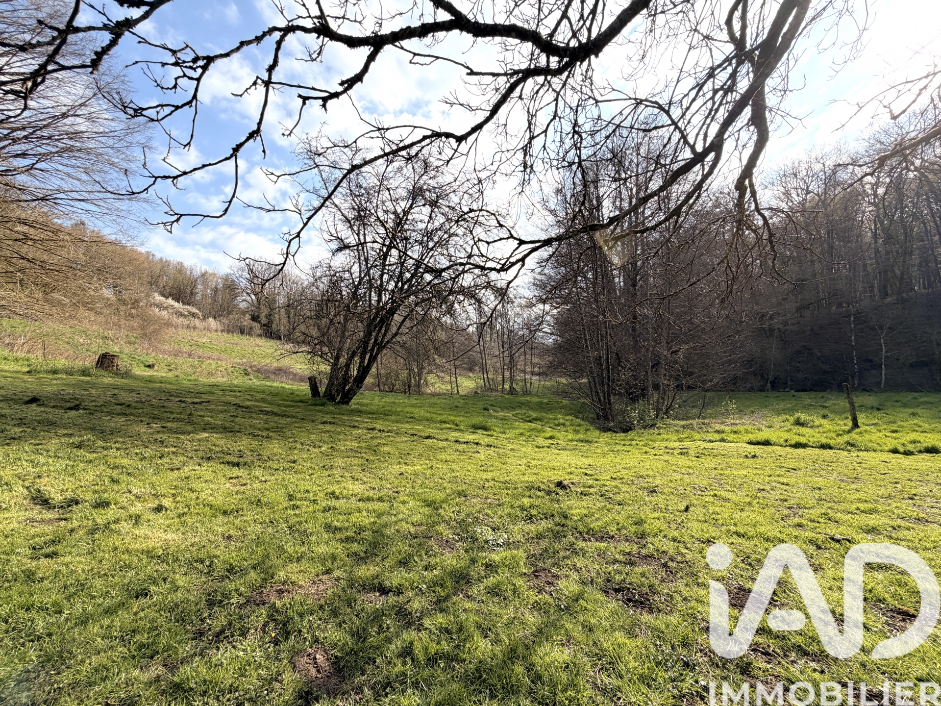 Maison de 189 m² à CELLES EN BASSIGNY (52360)