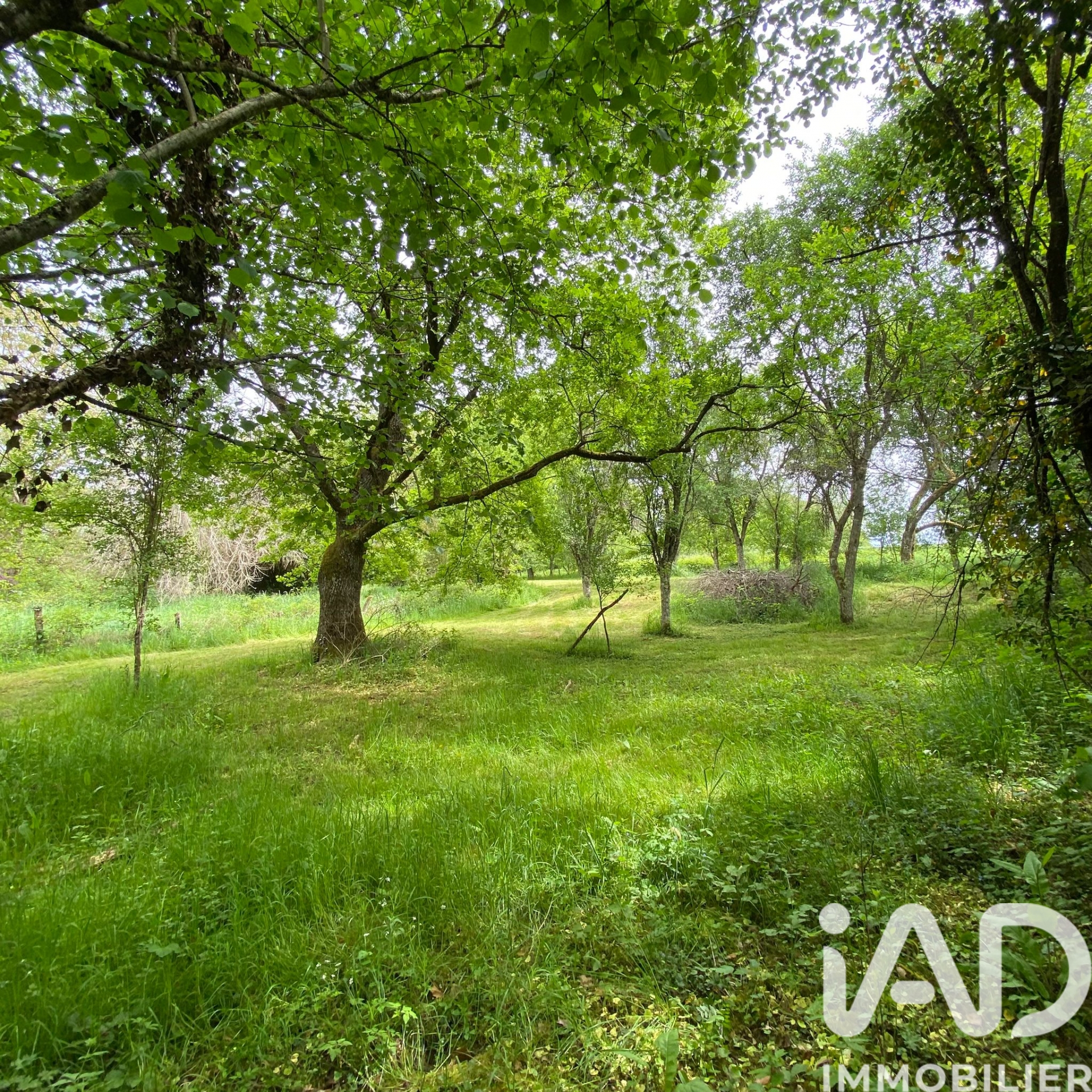 Maison de 216 m² à Champsevraine (52500)