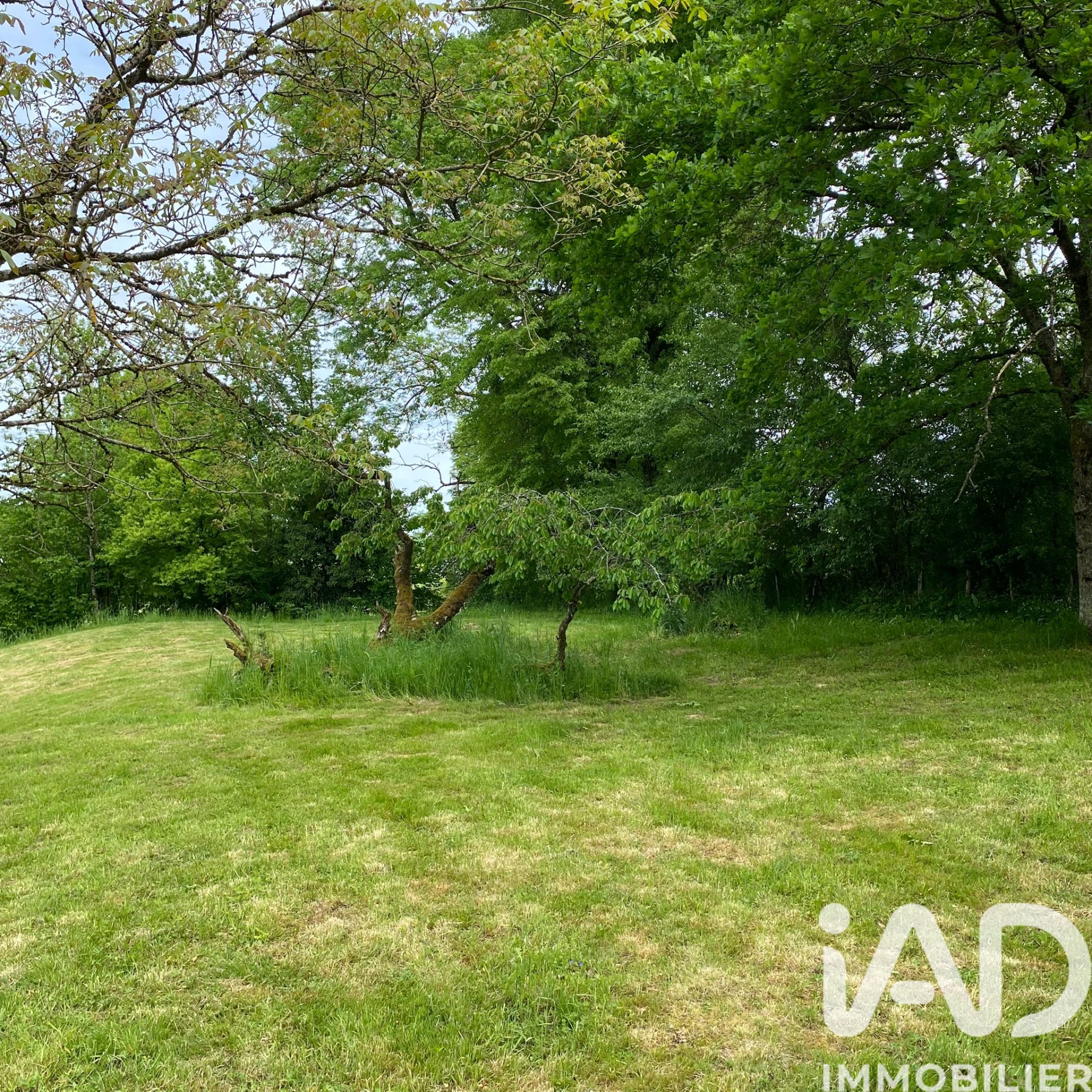 Maison de 216 m² à Champsevraine (52500)