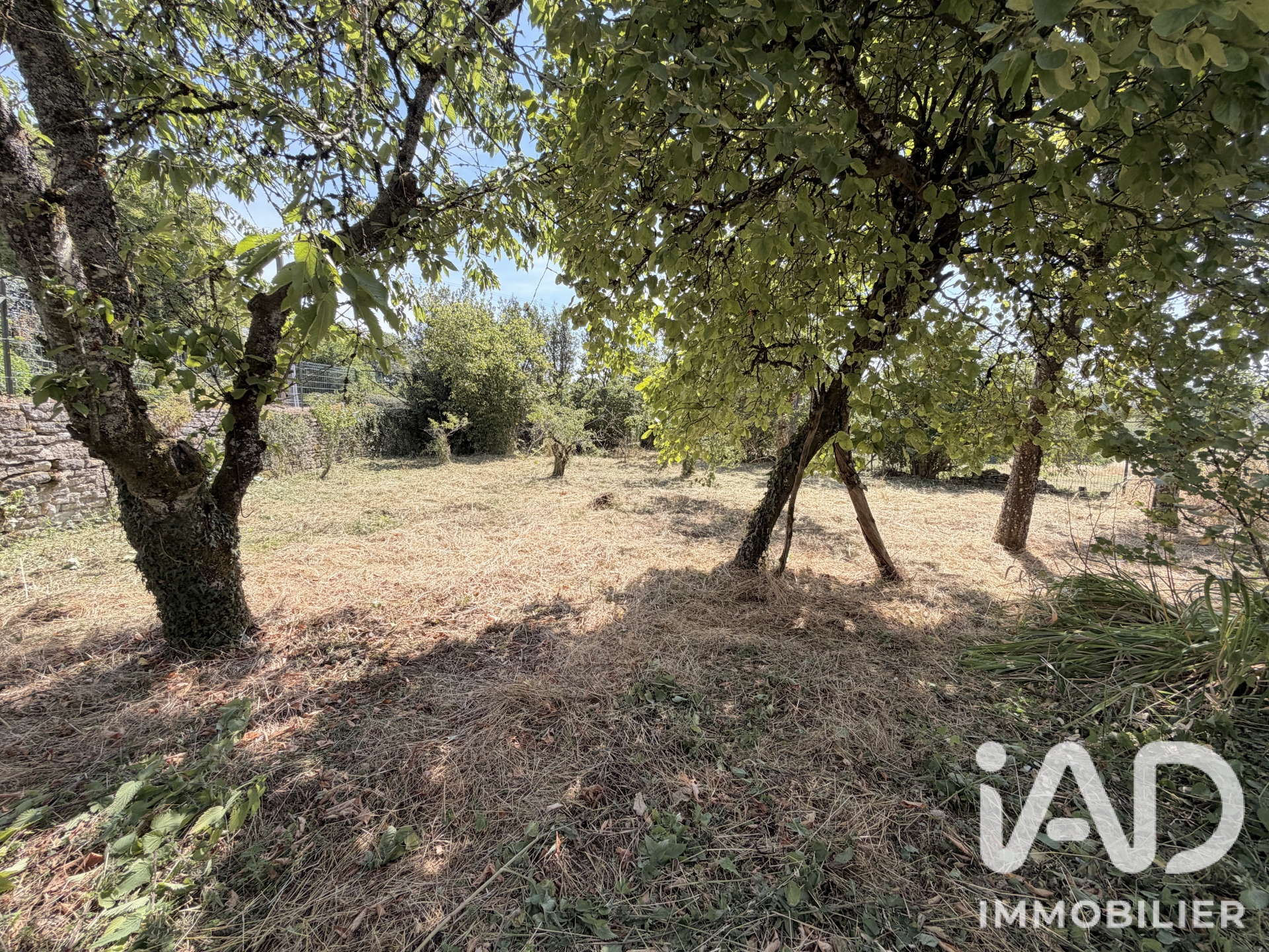 Maison de 155 m² à Noidant-Chatenoy (52600)