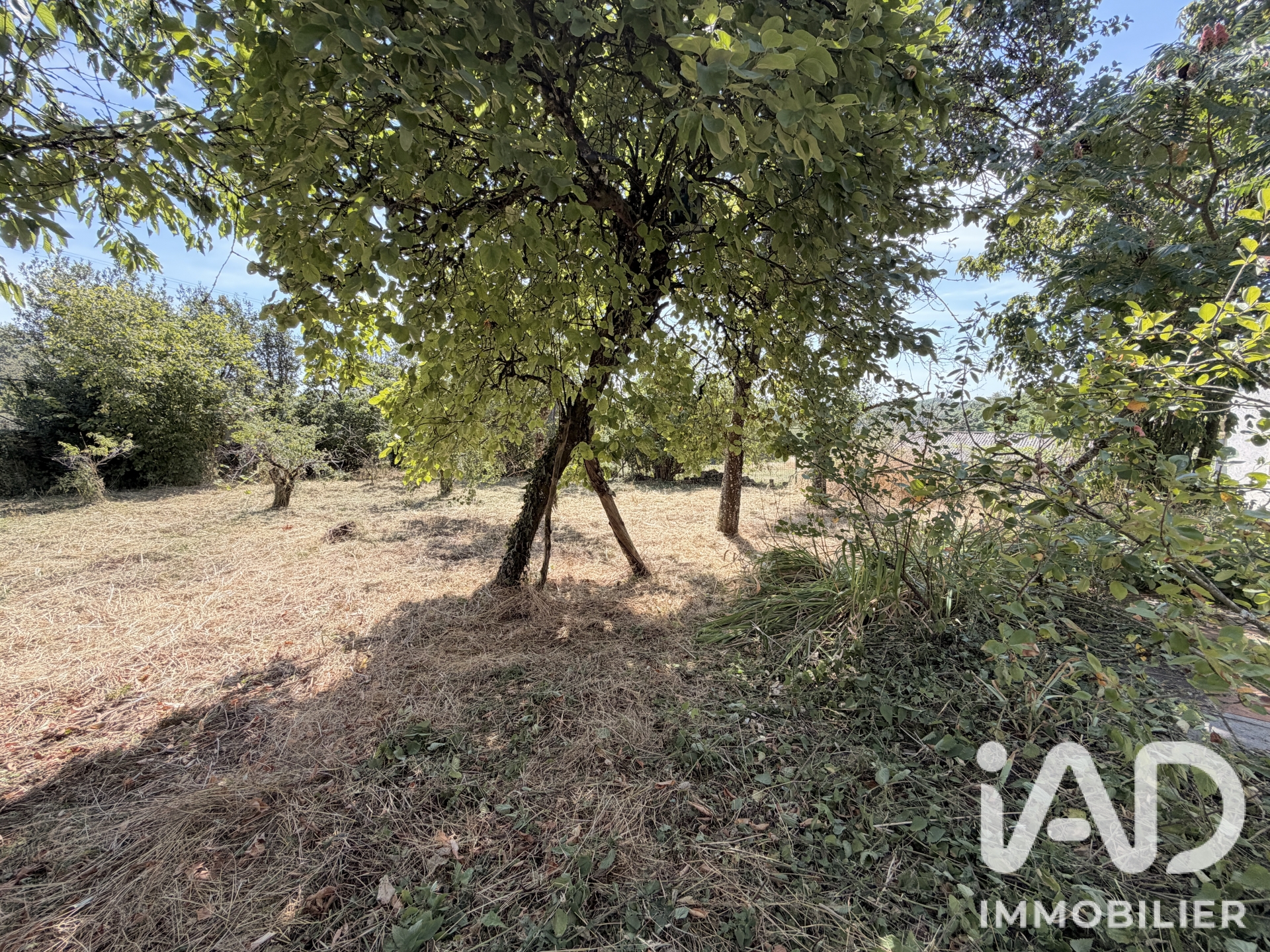 Maison de 155 m² à Noidant-Chatenoy (52600)
