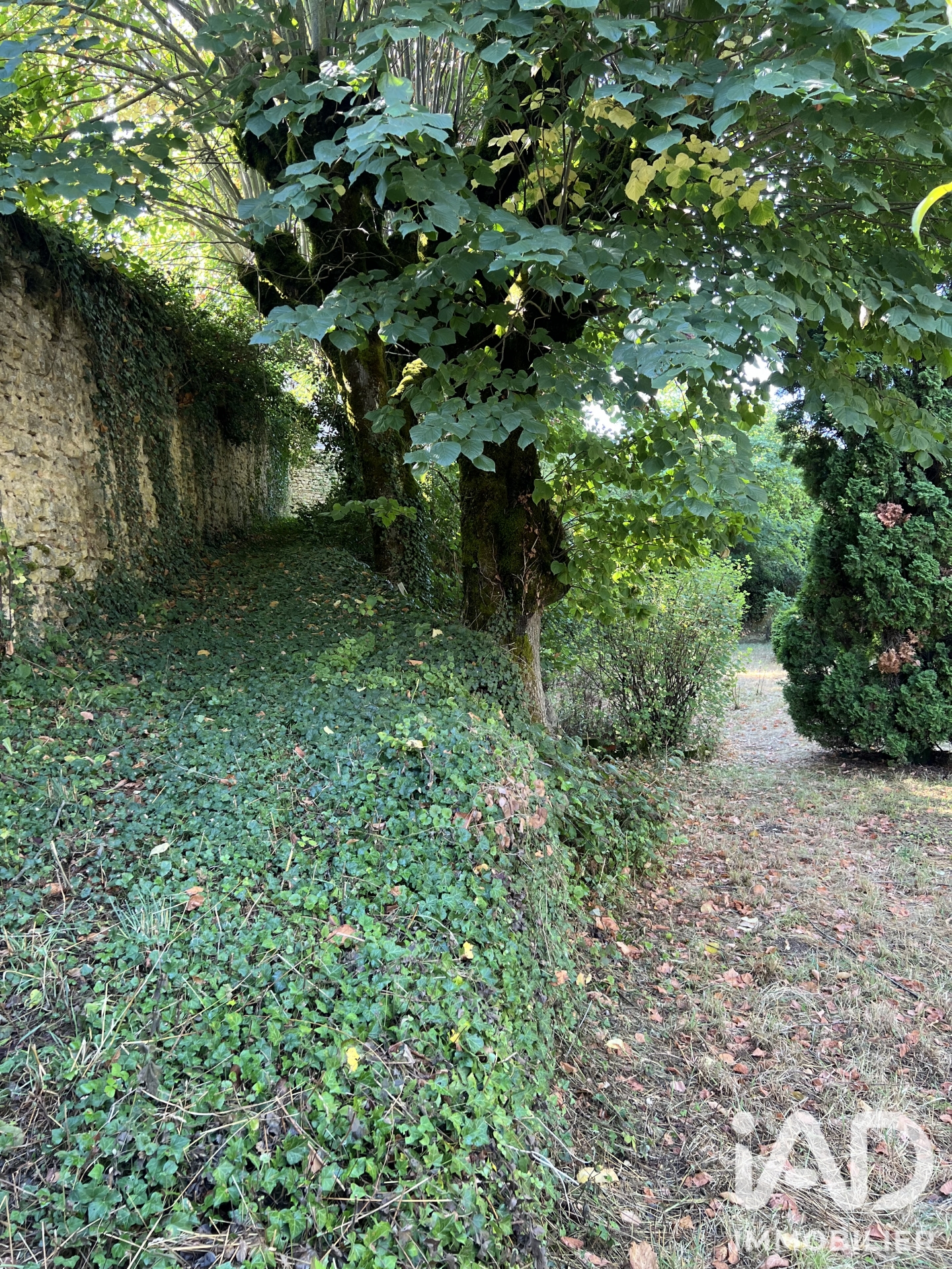 Terrain de 1832 m² à Auberive (52160)