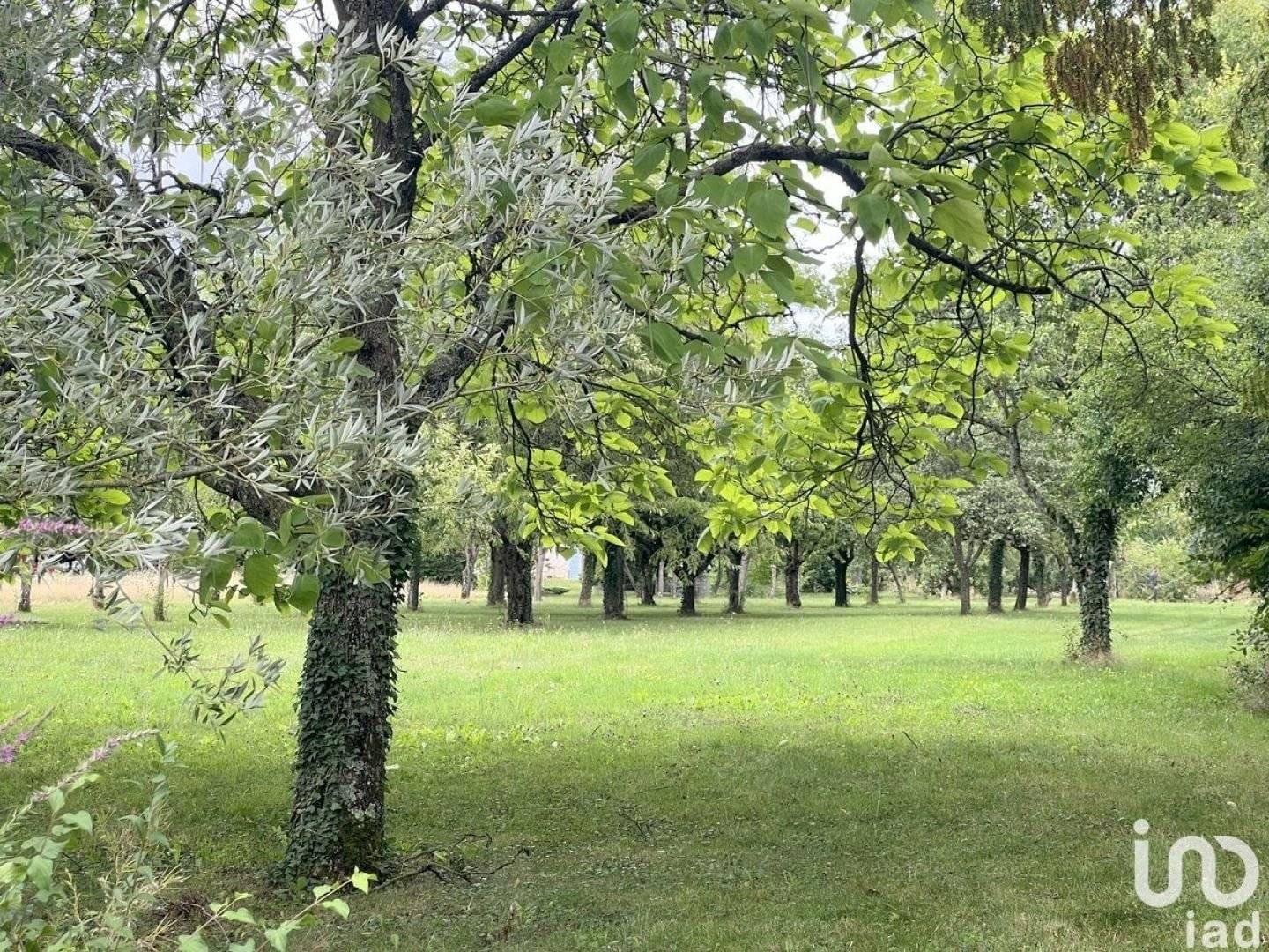 Maison de 250 m² à Haute Amance (52600)