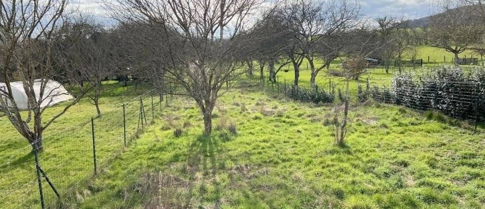 Maison de 138 m² (52360)