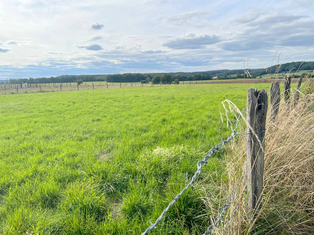 Maison de 150 m² à Palaiseul (52600)