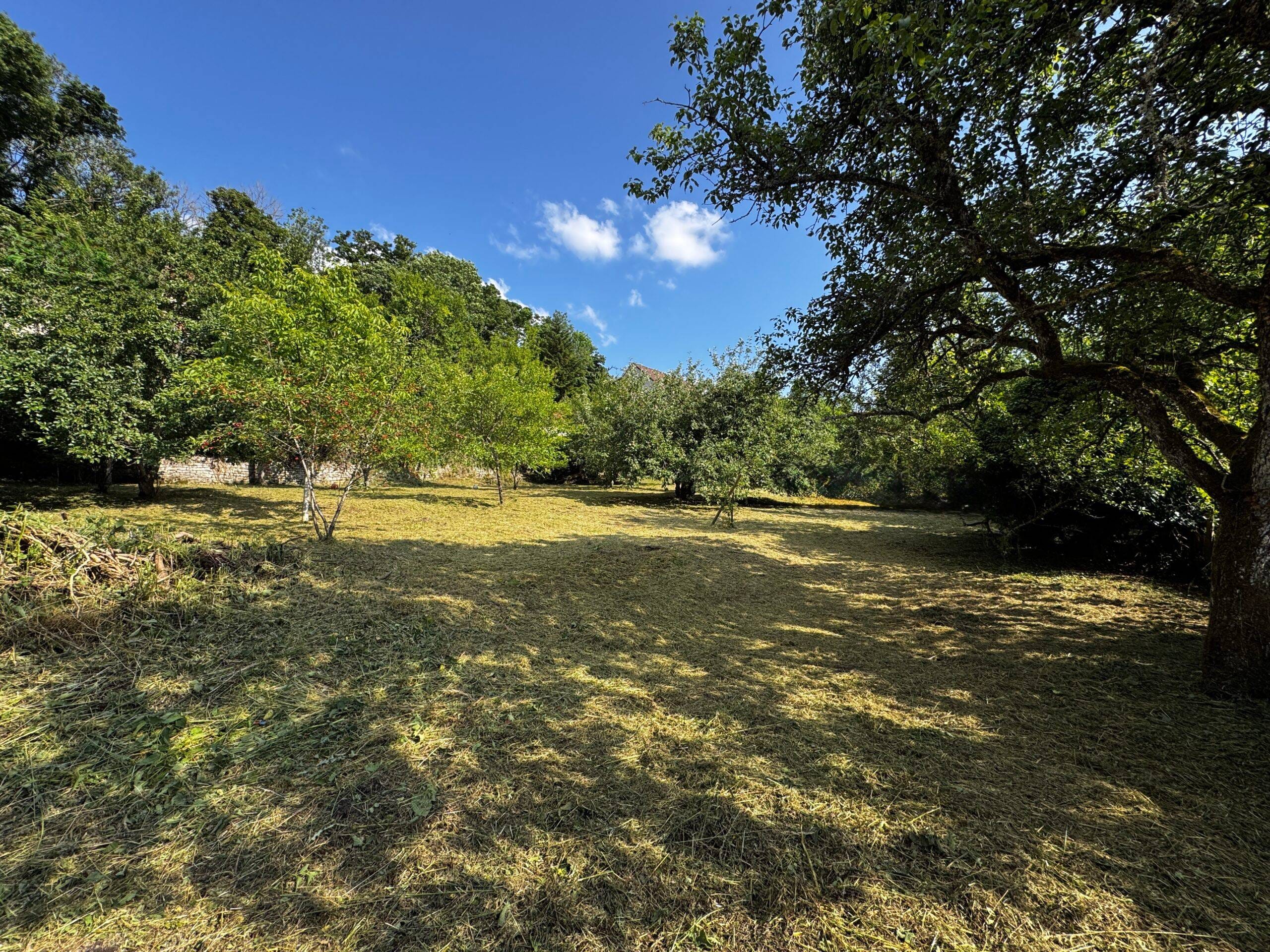 Terrain à Langres (52200)