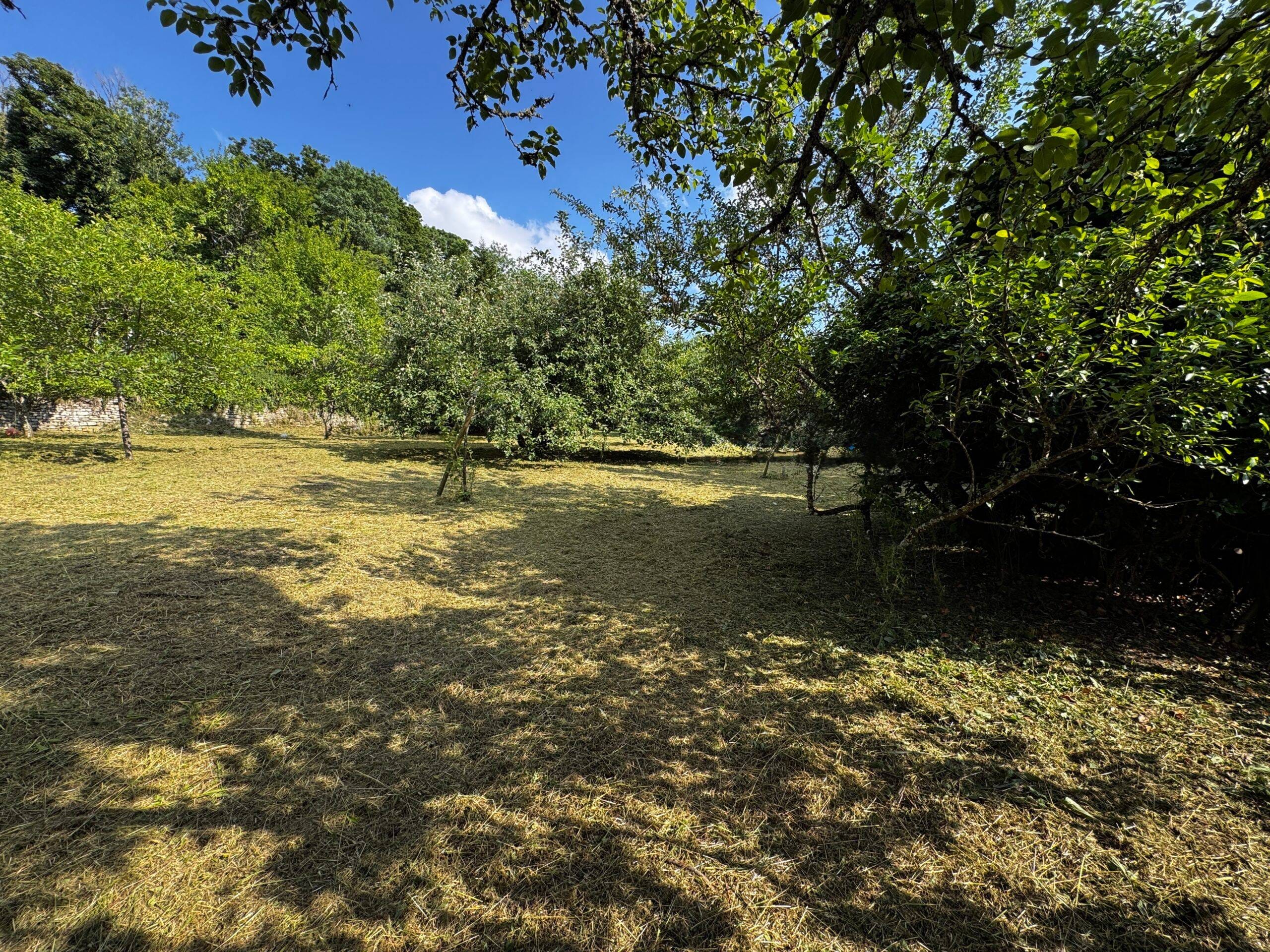 Terrain à Langres (52200)
