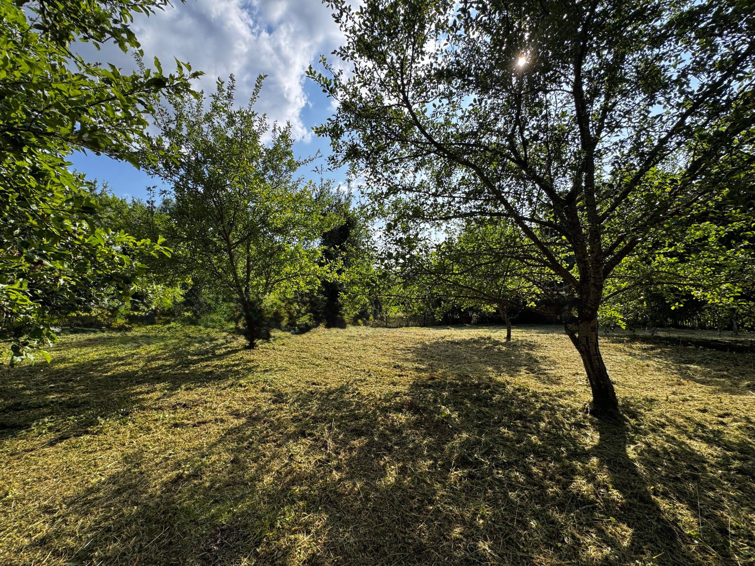 Terrain à Langres (52200)