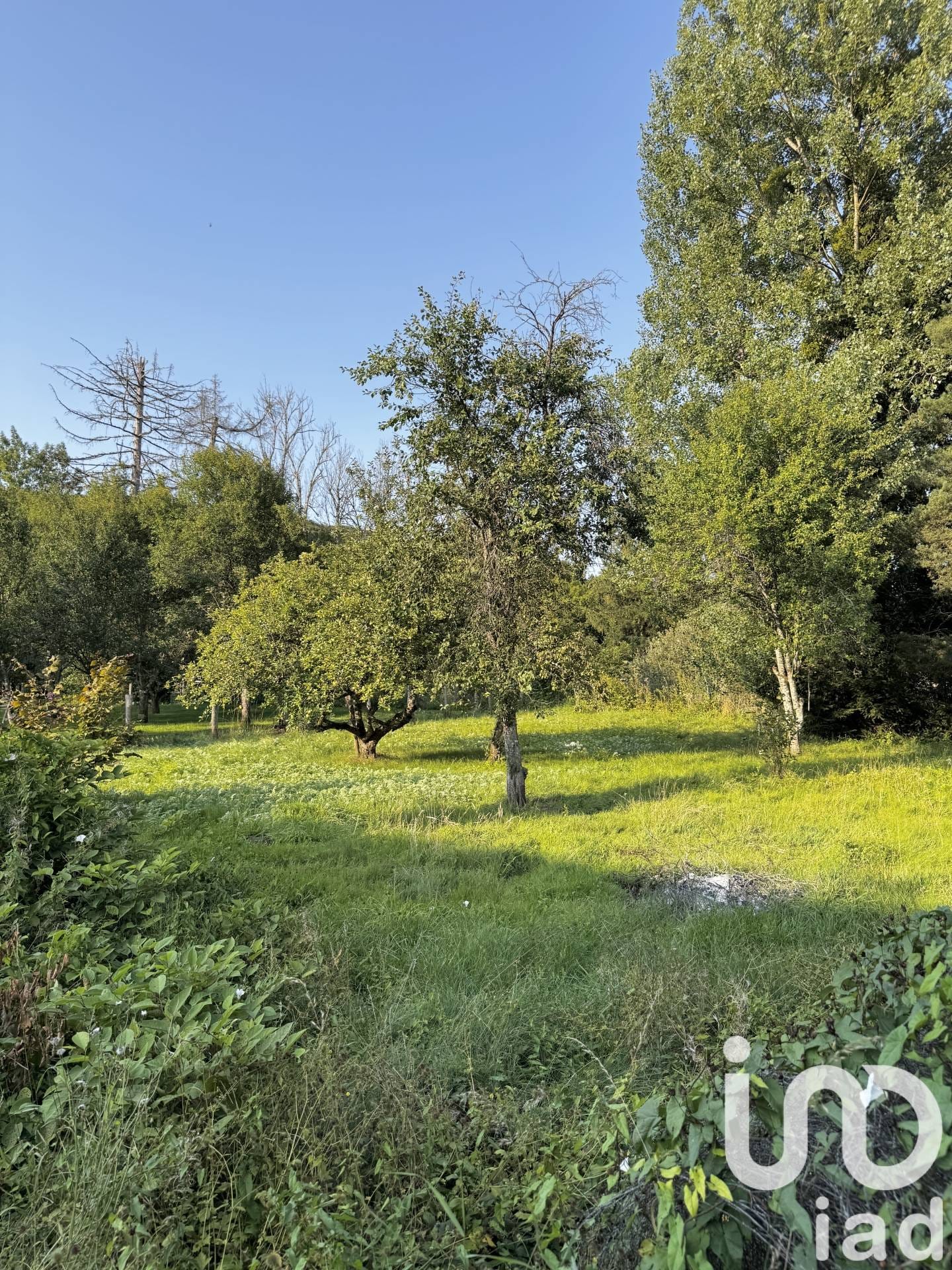 Maison de 115 m² à Arbot (52160)