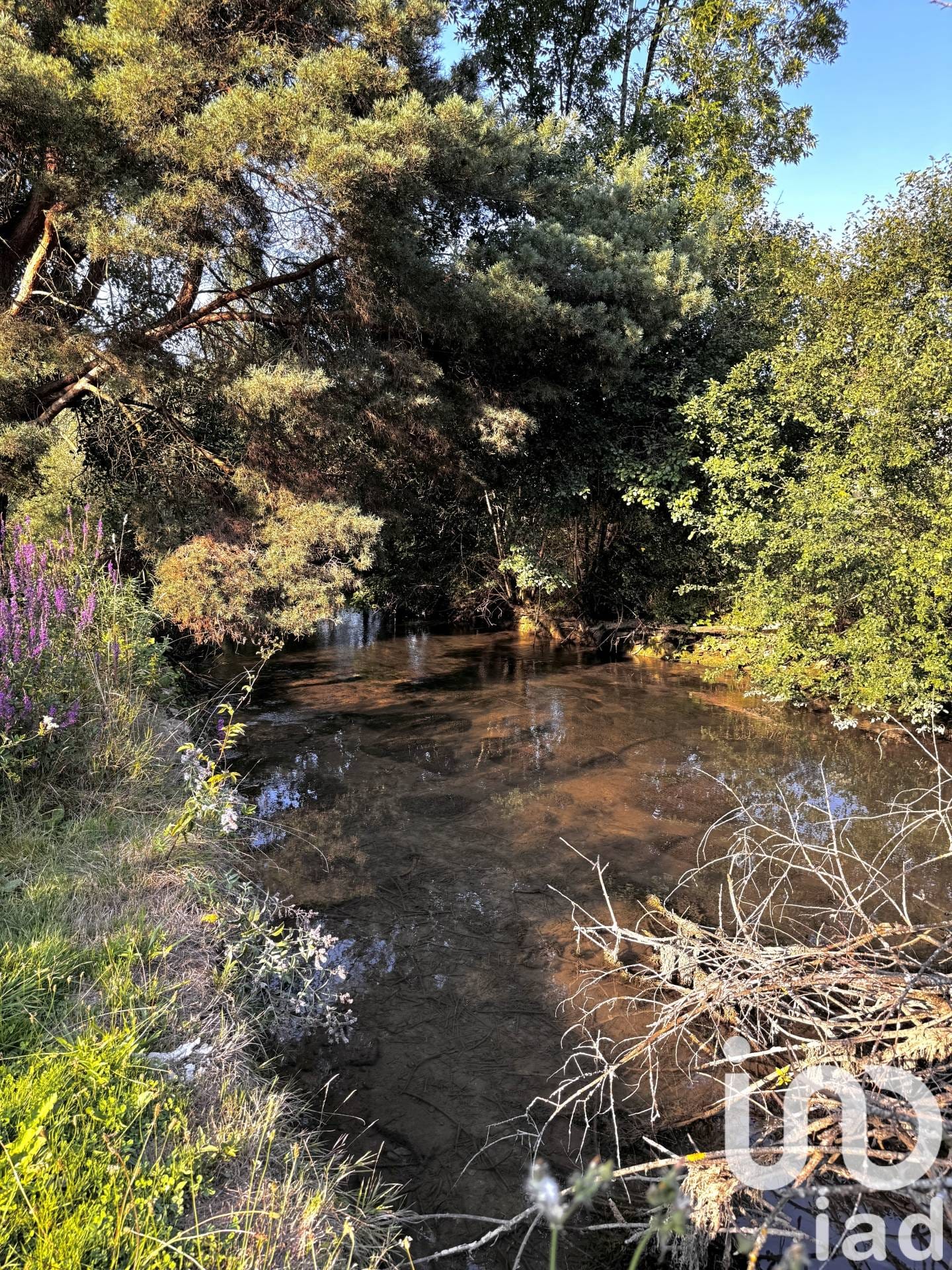 Maison de 115 m² à Arbot (52160)