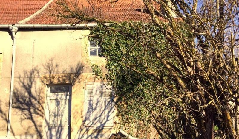 Maison de 40 m² à Perrancey Les Vieux Moulins (52200)