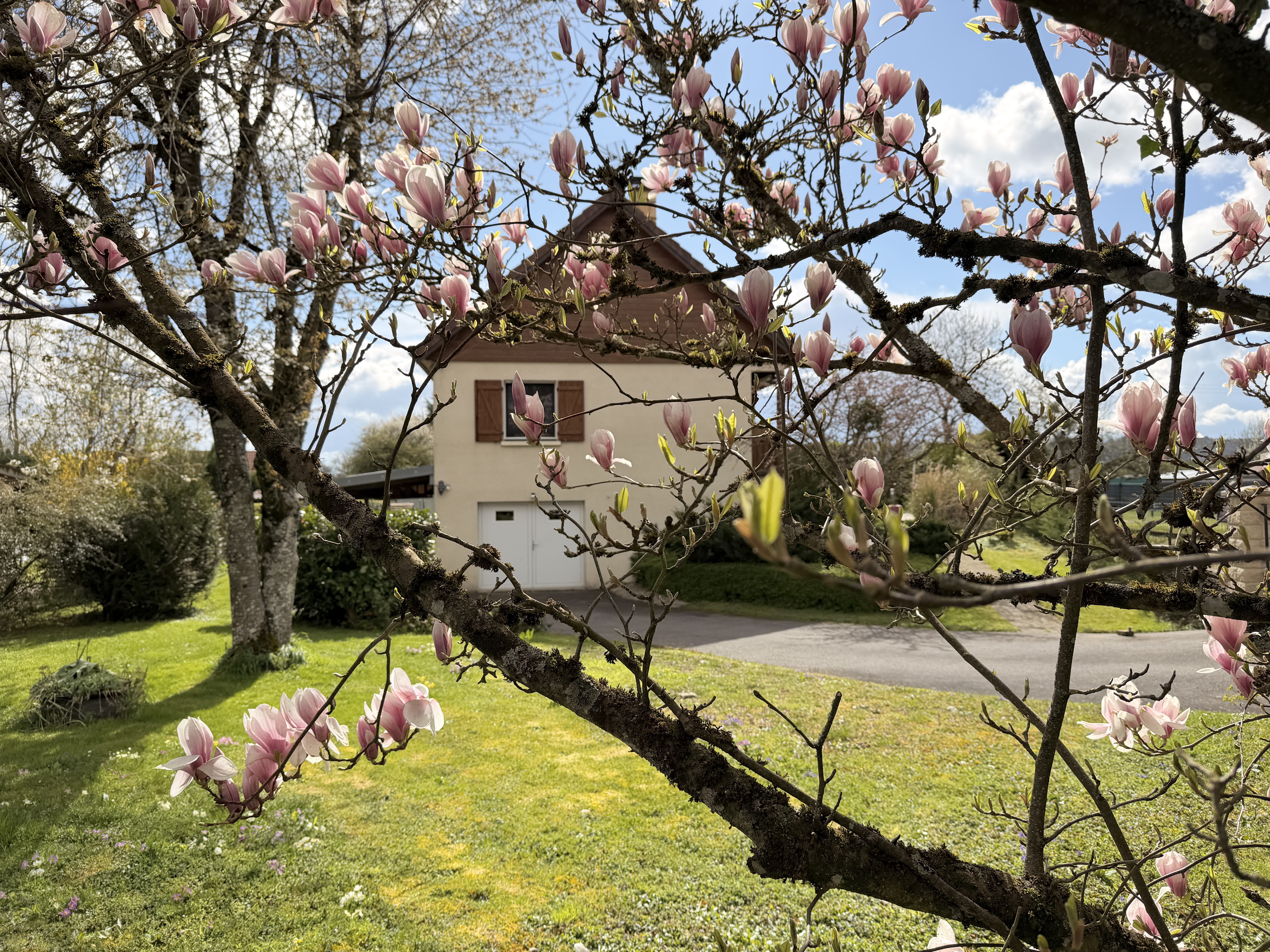 Maison de 146.5 m² à Longeau-Percey (52250)